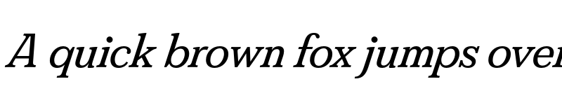 Preview of FS Split Serif Trial Italic font