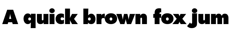 Preview of Futura TS New Heavy font