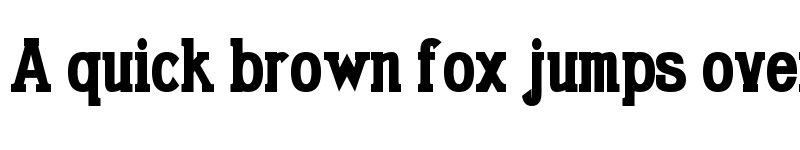 Preview of Gabriel Serif Condensed Bold font