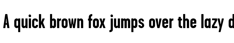 Preview of GarageGothic Bold font