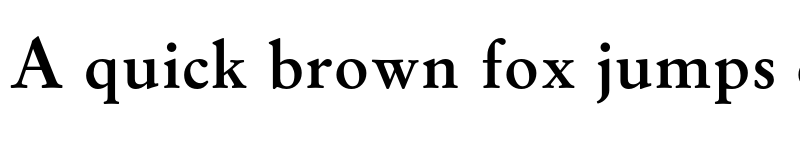 Preview of Garamond Libre Bold font