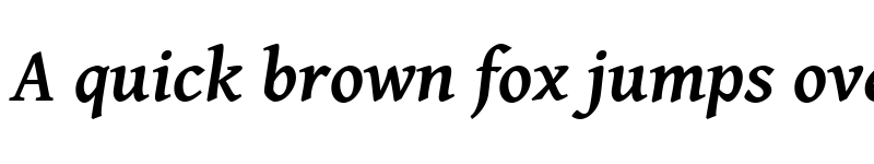 Preview of Gentium Basic Bold Italic font