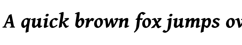 Preview of Gentium Book Basic Bold Italic font