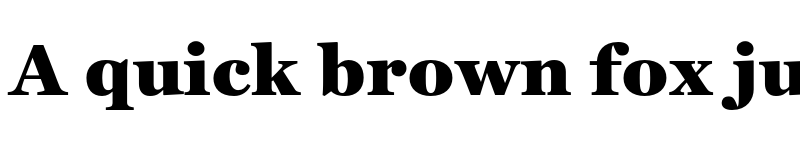 Preview of Georgia Pro Black font