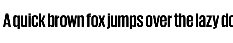 Preview of Giorgio Sans Trial Bold font