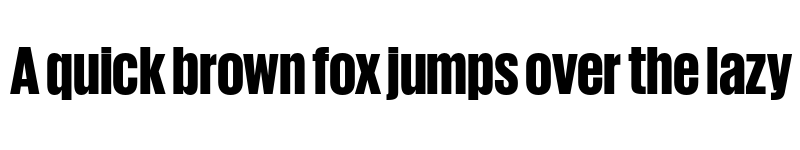 Preview of Giorgio Sans Trial Heavy font