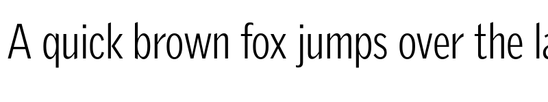 Preview of GriffithGothicCond Light font