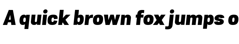 Preview of Grota Sans Alt Black Italic font