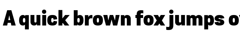 Preview of Grota Sans Black font