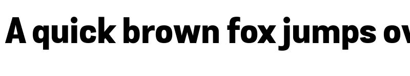 Preview of Grota Sans Extra Bold font