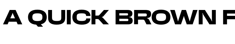 Preview of GROZEN MEDICAL DEMO Bold font