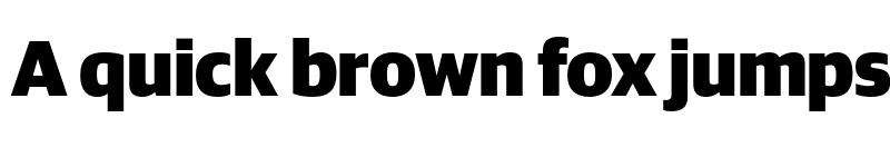 Preview of Guardian Sans Black font