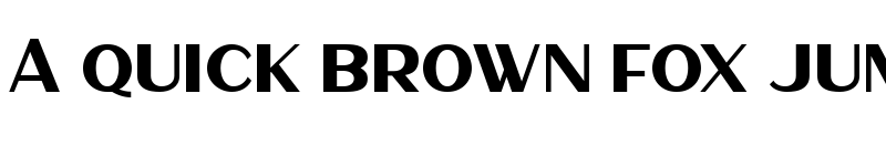 Preview of Haarlem Sans Regular font