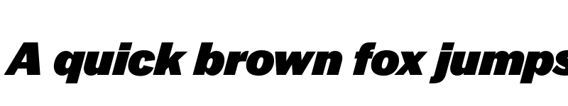 Preview of Halyard Display Black Italic font