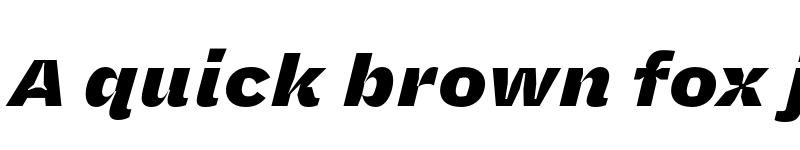 Preview of Halyard Micro Black Italic font