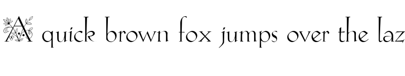 Preview of Hellen Initials Regular font