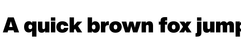 Preview of Helvetica Now Display W04 X Black font