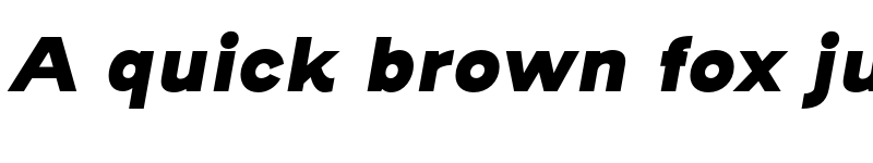 Preview of Henderson Sans Basic Black Italic font