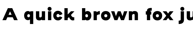 Preview of Henderson Sans Basic Black font