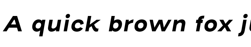 Preview of Henderson Sans Basic Bold Italic font