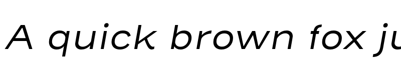 Preview of Henderson Sans Basic Regular Italic font