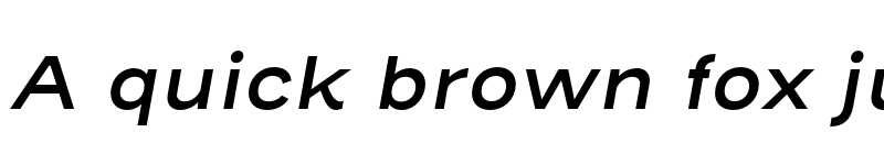 Preview of Henderson Sans Basic SemiBold Italic font