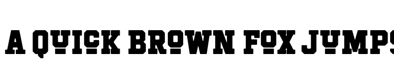 Preview of Hockeynight Serif Black font