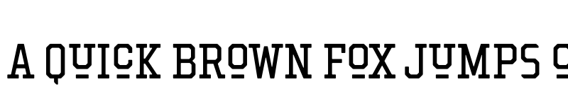Preview of Hockeynight Serif Regular font