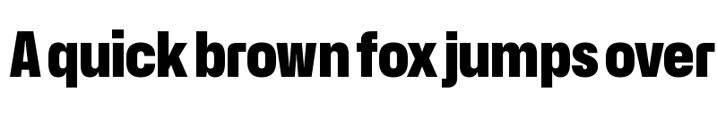 Preview of Hubot-Sans Black Narrow font