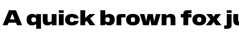 Preview of Hubot-Sans Black Wide font