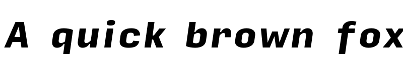 Preview of Input Sans Black Italic font