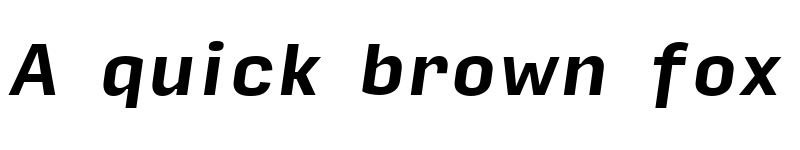 Preview of Input Sans Bold Italic font