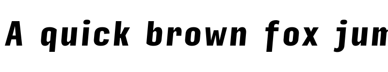 Preview of Input Sans Compressed Black Italic font