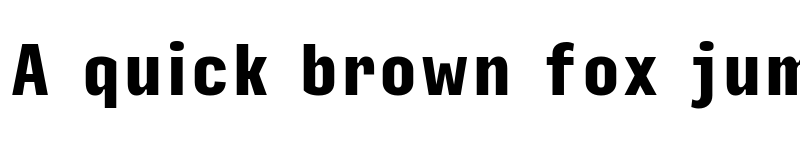 Preview of Input Sans Compressed Black font