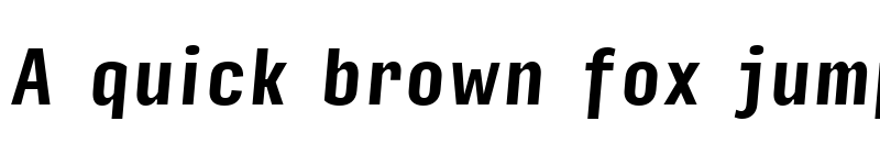 Preview of Input Sans Compressed Bold Italic font