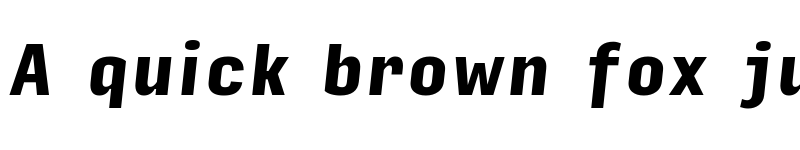 Preview of Input Sans Condensed Black Italic font