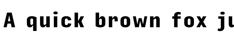 Preview of Input Sans Condensed Black font