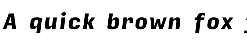 Preview of Input Sans Narrow Black Italic font