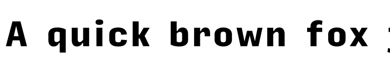 Preview of Input Sans Narrow Black font