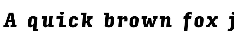 Preview of Input Serif Compressed Black Italic font