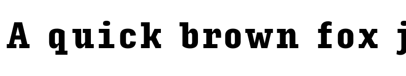 Preview of Input Serif Compressed Black font