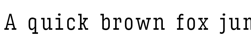 Preview of Input Serif Compressed Light font