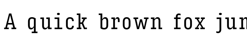 Preview of Input Serif Compressed Regular font