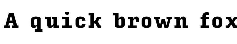 Preview of Input Serif Condensed Black font