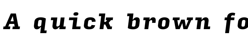 Preview of Input Serif Narrow Black Italic font