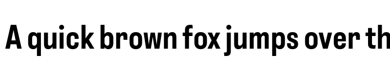 Preview of Instagram Sans Condensed Bold font