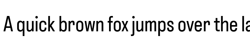 Preview of Instagram Sans Condensed Regular font