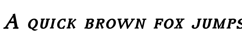 Preview of Irianis ADF Style Std Bold Italic font