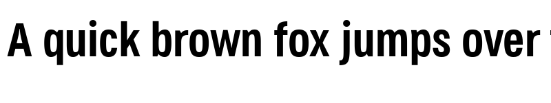 Preview of Jane Roe Bold font