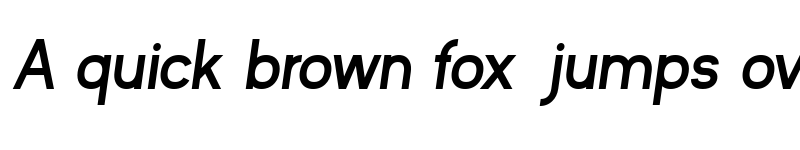 Preview of Kayak Sans Bold Italic font